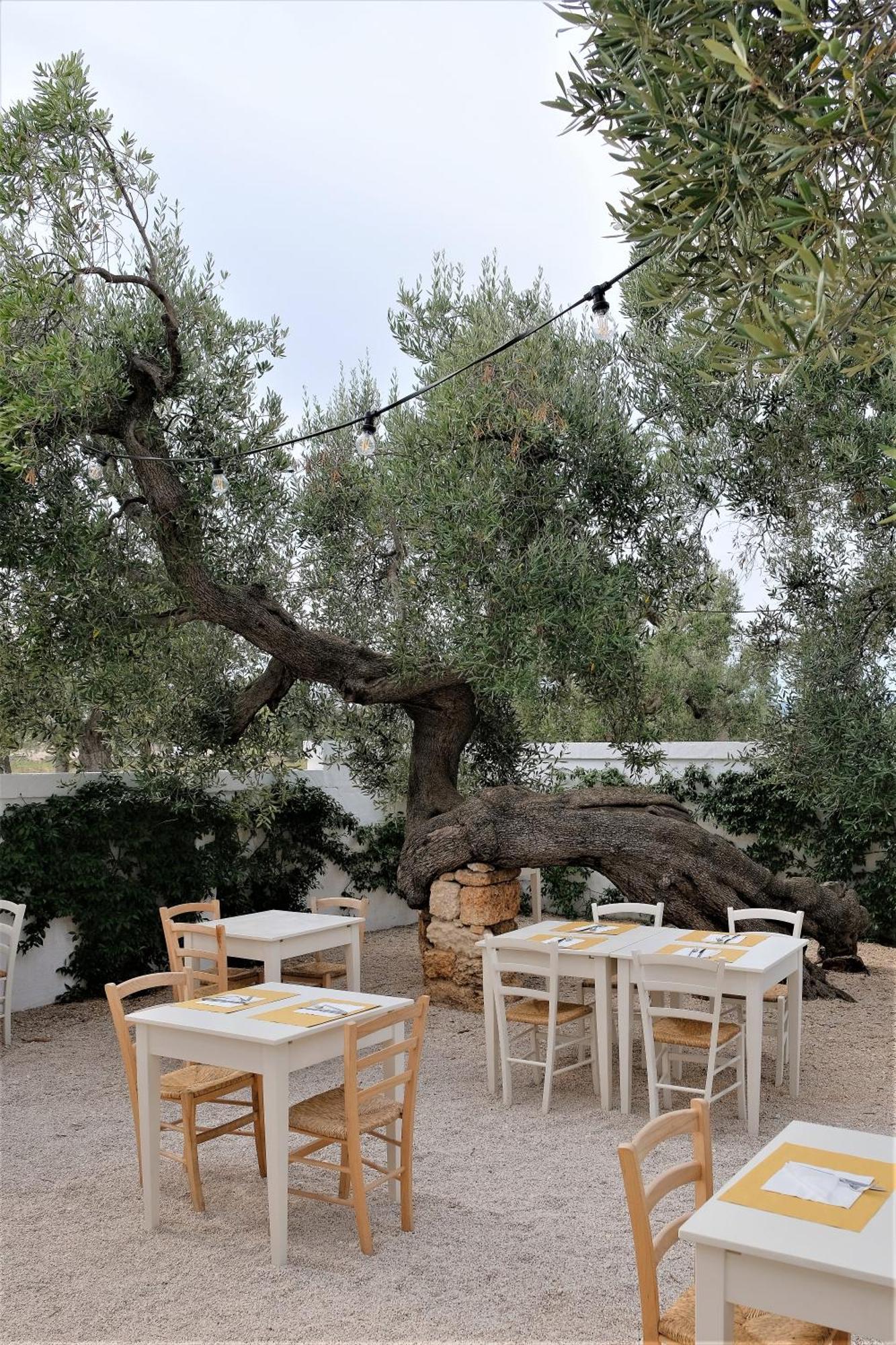 Masseria Stefanodelconte Torre Canne Exterior photo